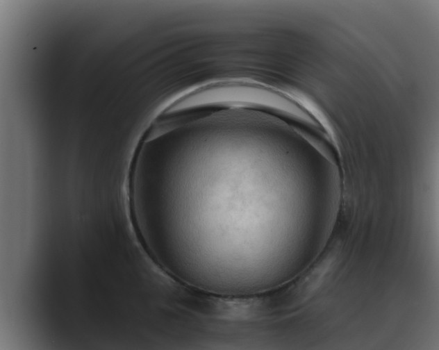 X0000089670951200706281337