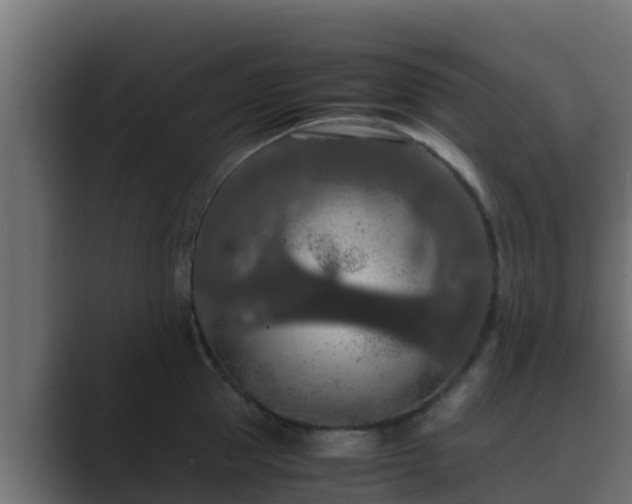 X0000089670953200706281337