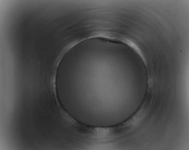 X0000089670954200706281337