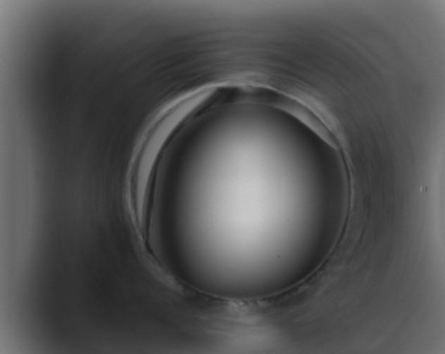 X0000089670960200706281337