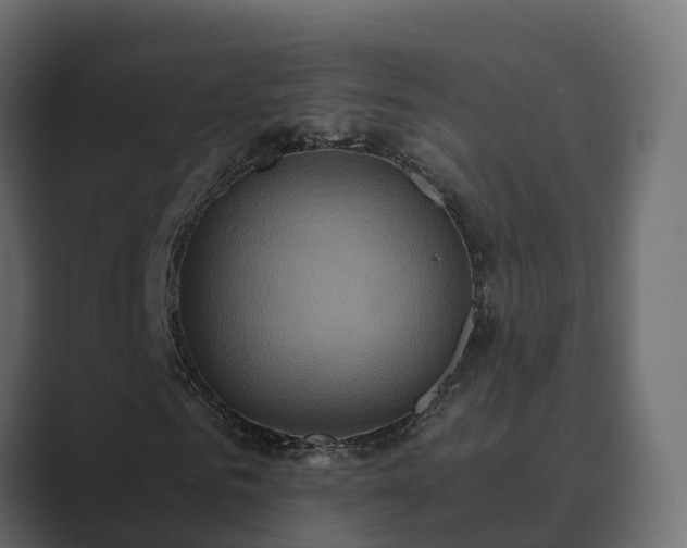 X0000089670961200706281336