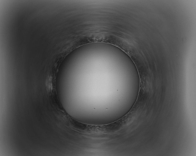 X0000089670962200706281336