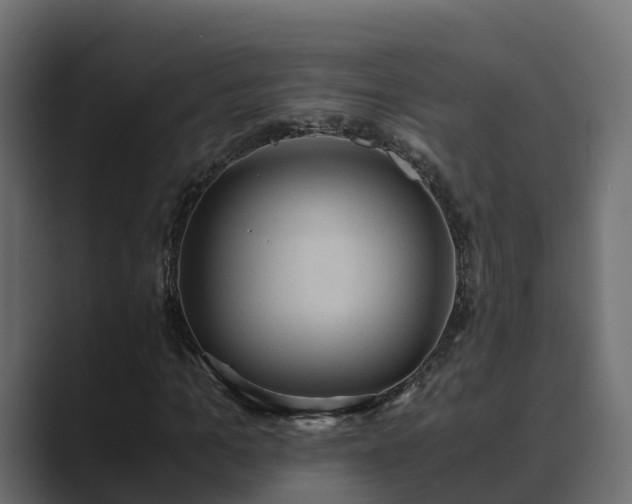 X0000089670965200706281336