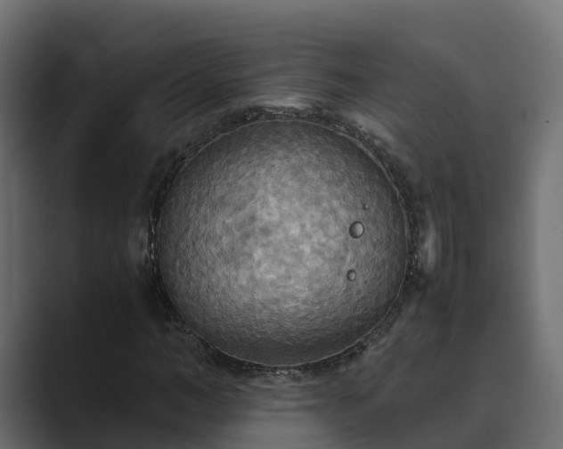X0000089670966200706281336