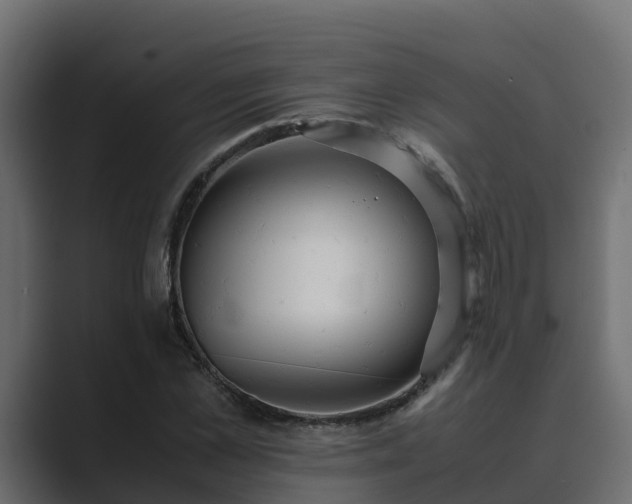 X0000089670973200706281336