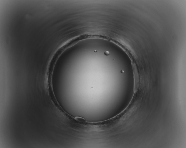 X0000089670976200706281336