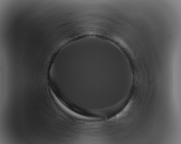 X0000089670977200706281336