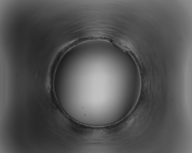 X0000089670979200706281336