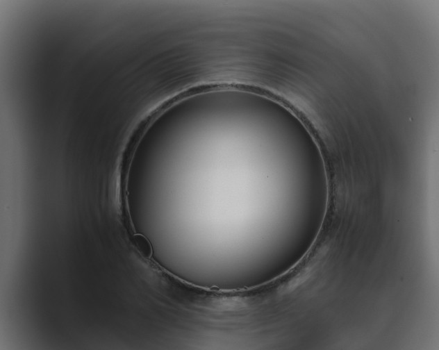 X0000089670982200706281336