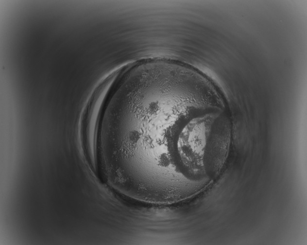 X0000089670983200706281336