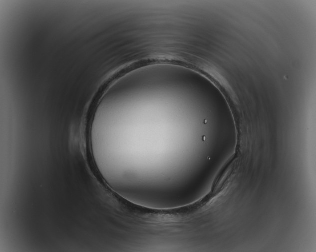 X0000089670984200706281336