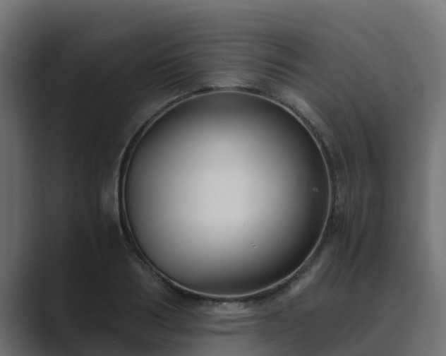 X0000089670986200706281336