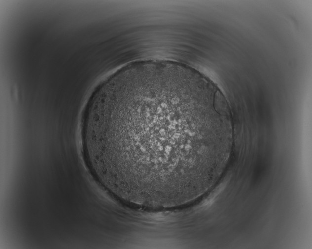 X0000089670987200706281336