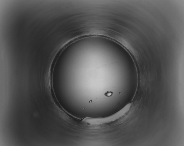 X0000089670988200706281336