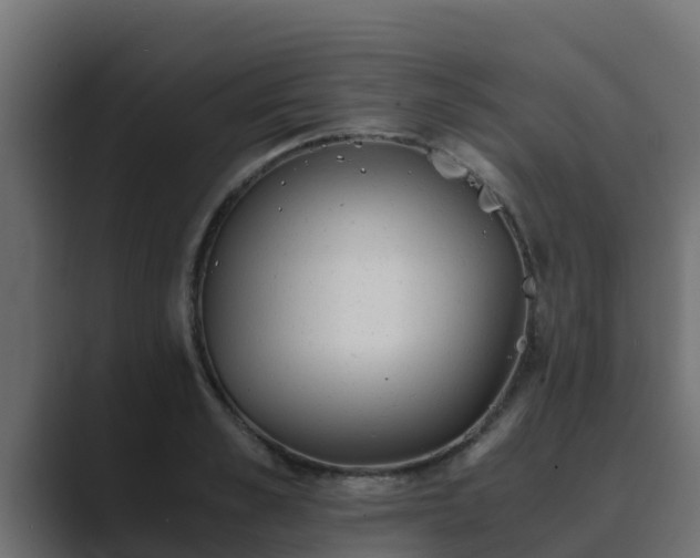 X0000089670989200706281336