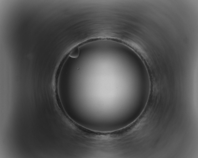 X0000089670990200706281336