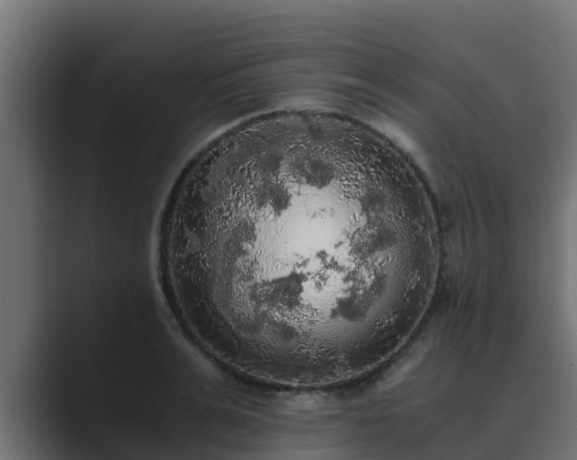 X0000089670991200706281336