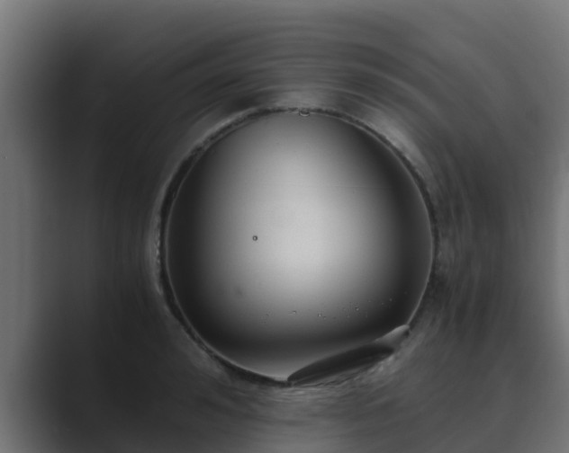 X0000089670992200706281336