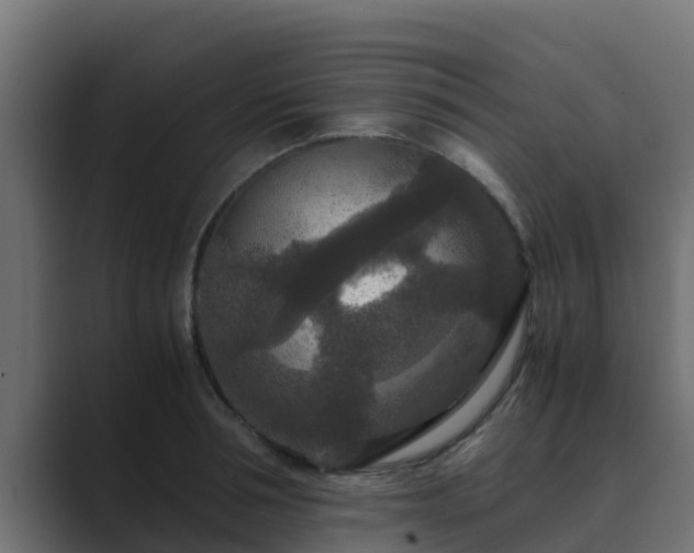 X0000089670994200706281336