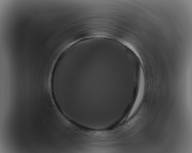 X0000089670995200706281336