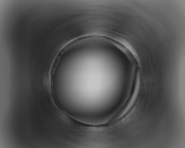 X0000089670996200706281336