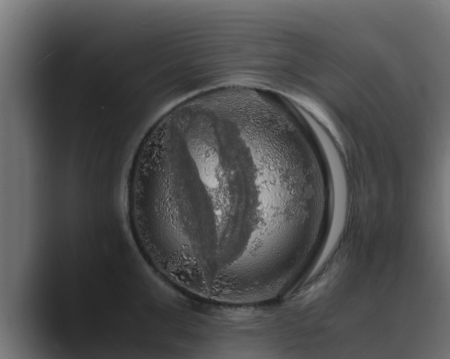 X0000089670999200706281336