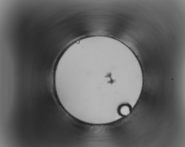 X0000089671000200706281336