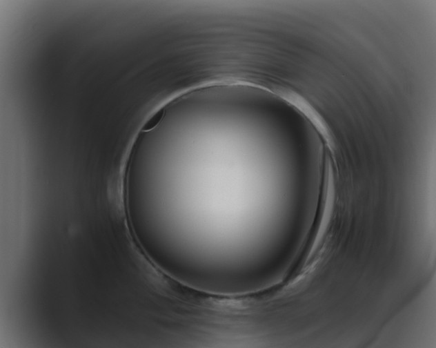 X0000089671004200706281336