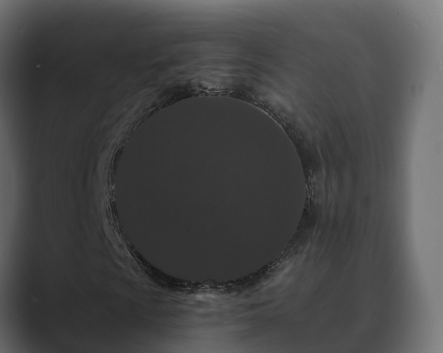 X0000089671009200706281335