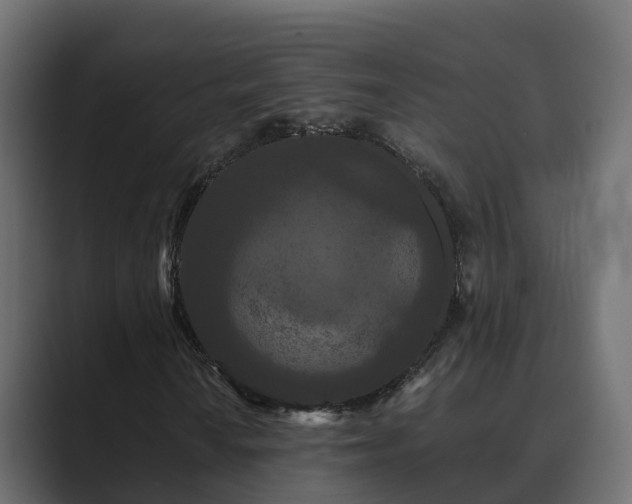 X0000089671010200706281335