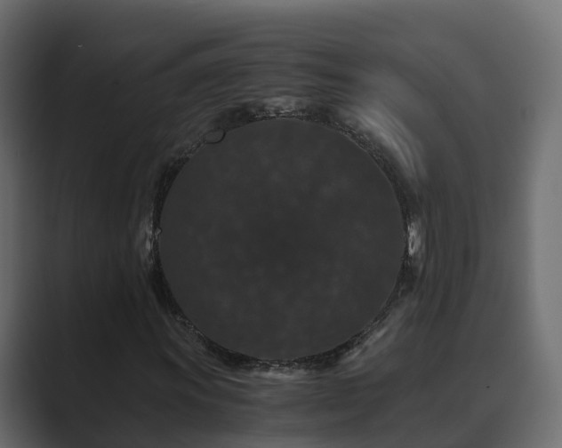 X0000089671011200706281335