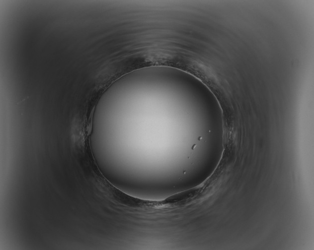 X0000089671012200706281335