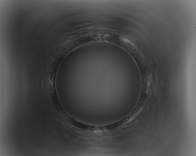 X0000089671013200706281335