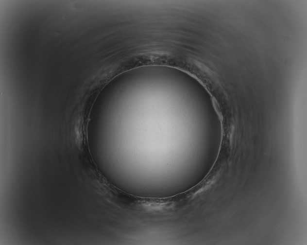 X0000089671014200706281335