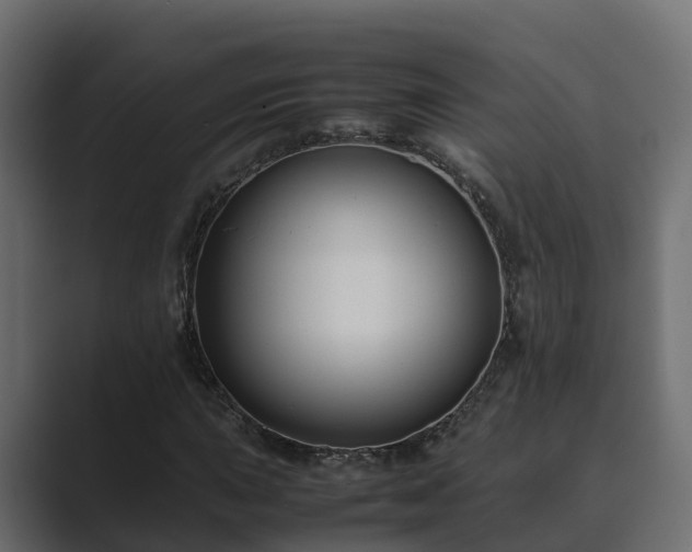 X0000089671015200706281335
