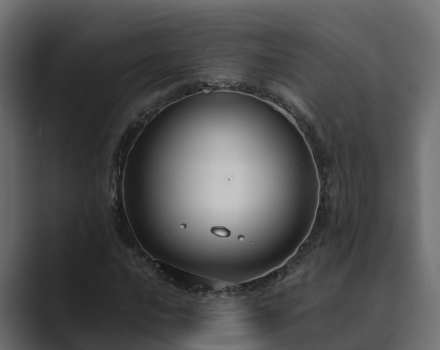 X0000089671016200706281335