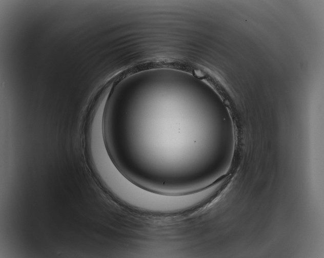X0000089671018200706281335