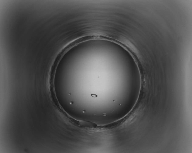 X0000089671020200706281335