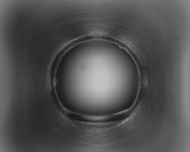 X0000089671022200706281335