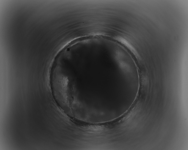 X0000089671023200706281335