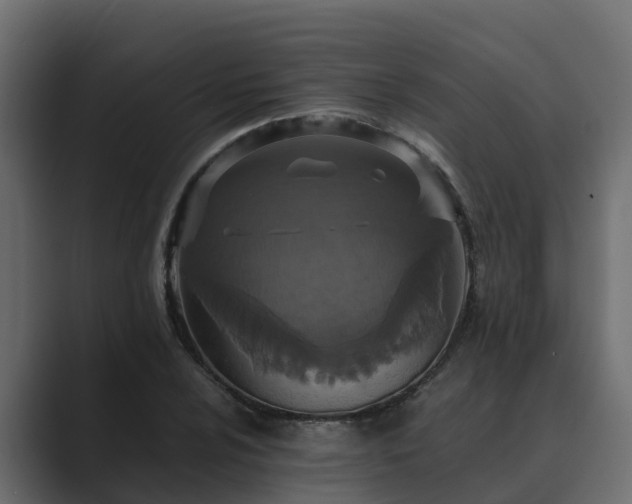 X0000089671024200706281335