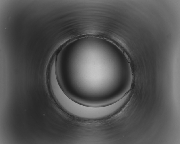 X0000089671026200706281336