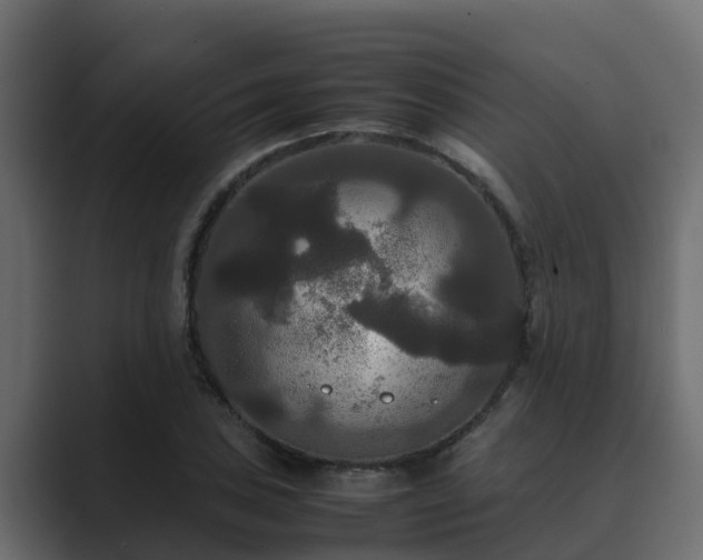 X0000089671027200706281336