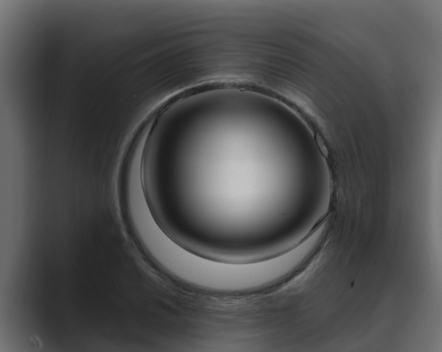 X0000089671030200706281336