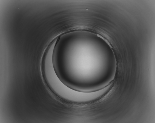 X0000089671034200706281336
