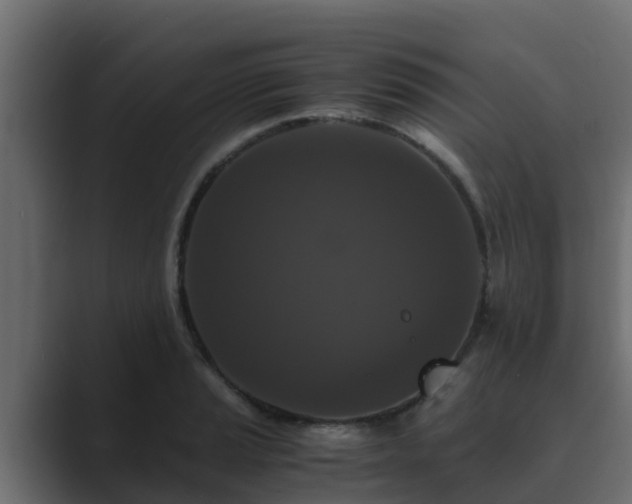 X0000089671037200706281336