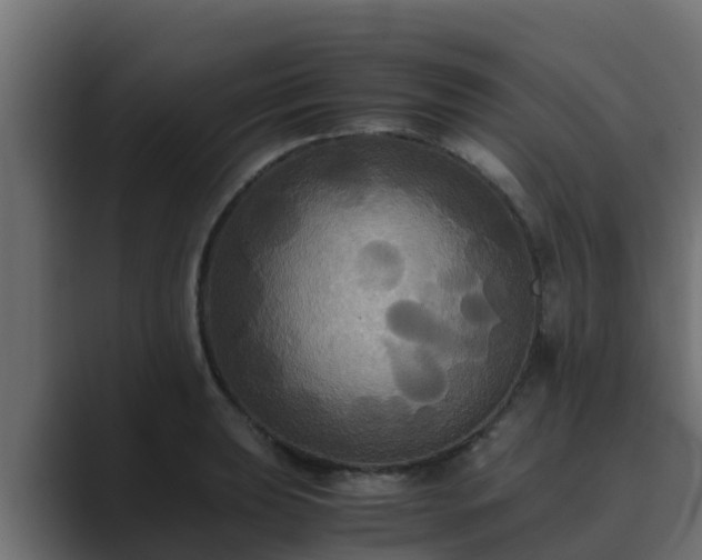 X0000089671039200706281336