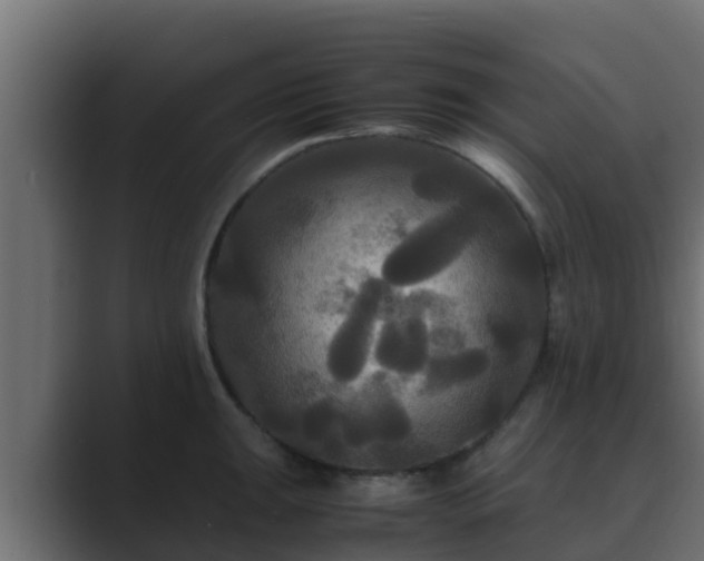 X0000089671047200706281336