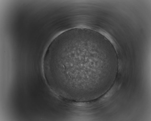 X0000089671048200706281336