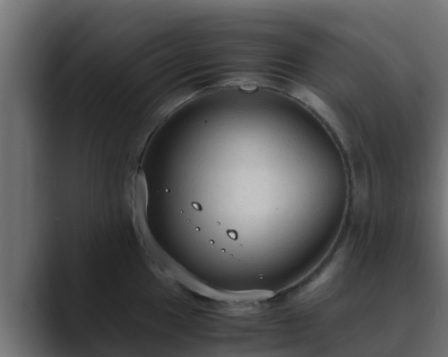 X0000089671049200706281336